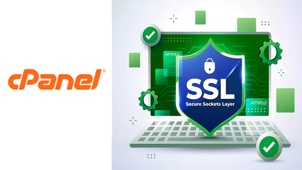 cpanel ssl certificate setup 1024x576 1 - Как выпустить SSL-сертификат для вашего сайта