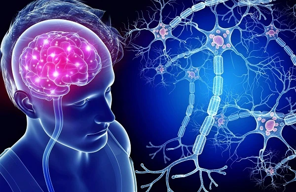 Что такое нейросеть? Что такое нейросеть?