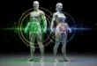 Анатомические фигуры мужчины и женщины, окруженные инфографикой для онлайн-калькулятора пропорций и анализа композиции тела.