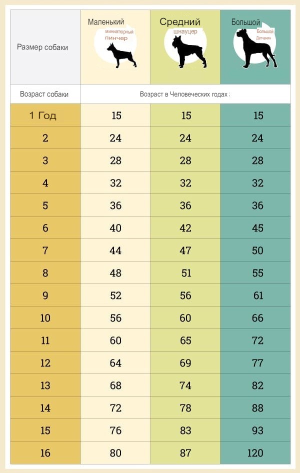 Calculadora de la edad del perro