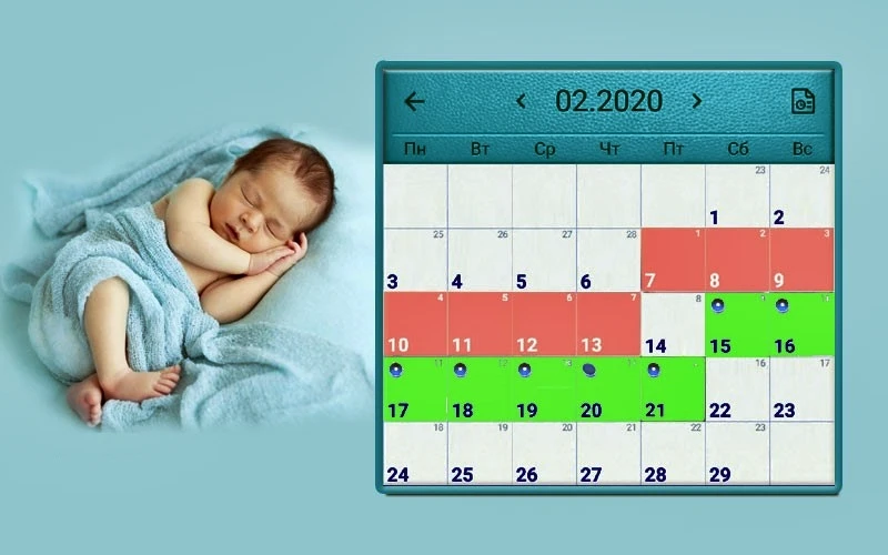 Когда возможно забеременеть. Календарь овуляции для зачатия. Календарь овуляции для зачатия мальчика. Мальчик в день овуляции. Пол ребенка по дням овуляции.