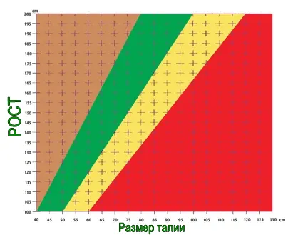 Diagramma formy osnovannaja na sootnoshenii talii i rosta