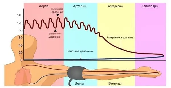 Kalkuljator srednego arterialnogo davlenija